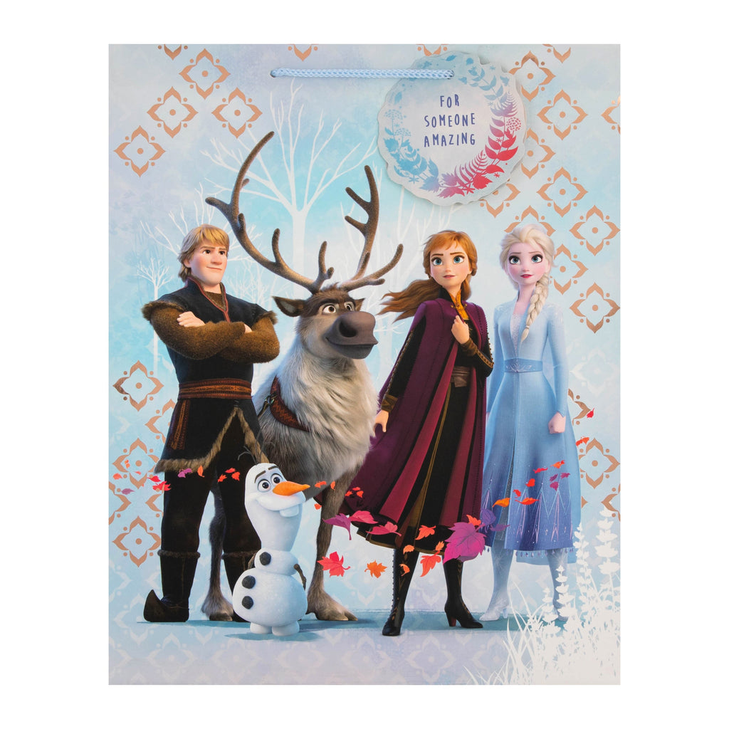 Kids Large Gift Bag - Frozen 2 Characters Design