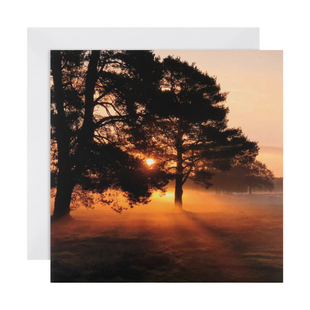 Any Occasion Woodland Trust Card - Serene Misty Sunrise Design