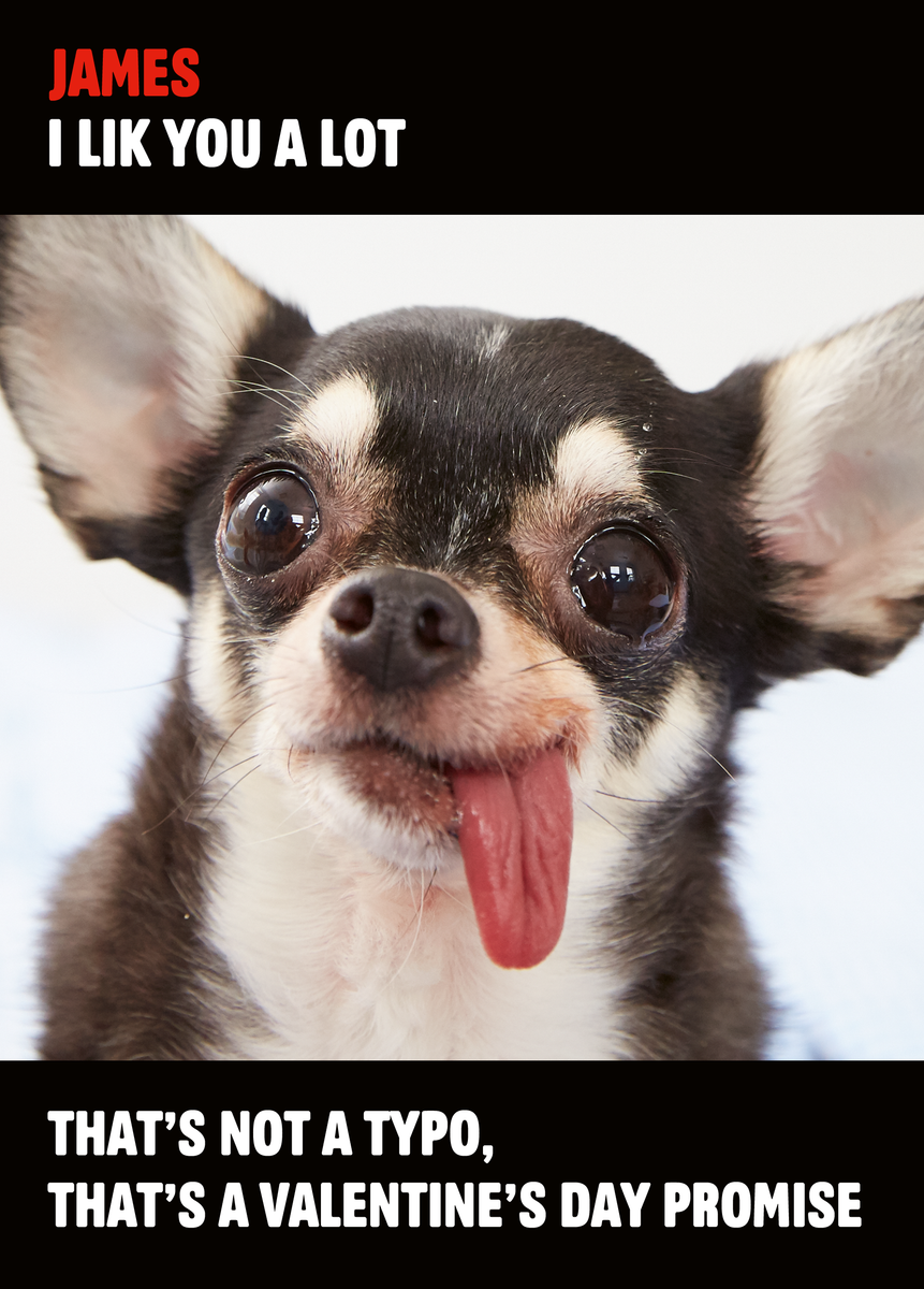 personalised-funny-cute-dog-valentine-s-day-card-hallmark-uk