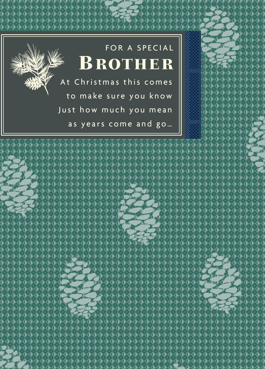 Big brother christmas card