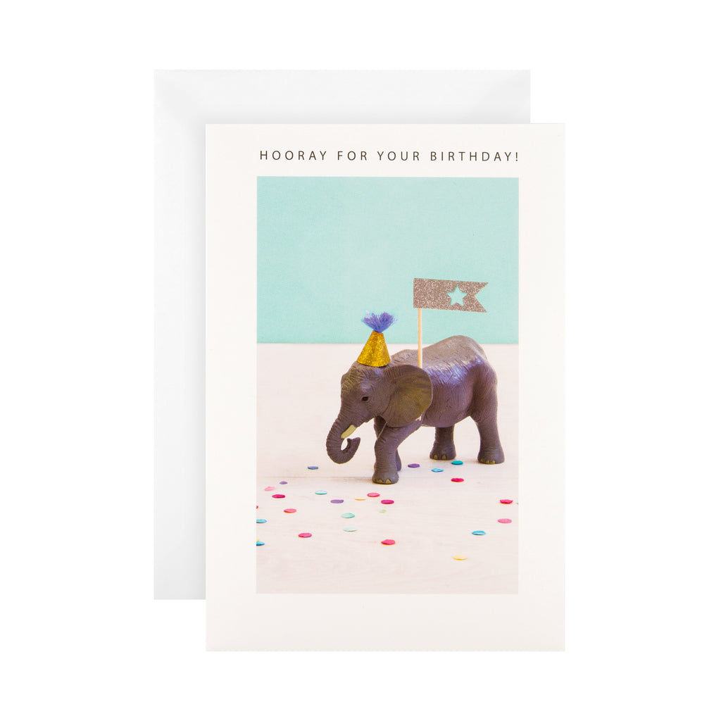 General Birthday Card - Quirky Photographic Design