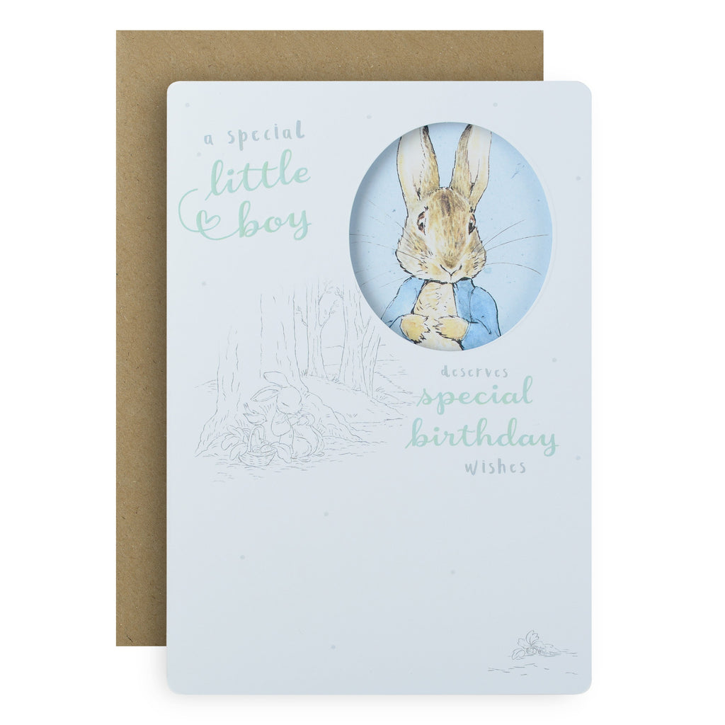 Birthday Card for a Special Little Boy - Die-cut Peter Rabbit™ Design