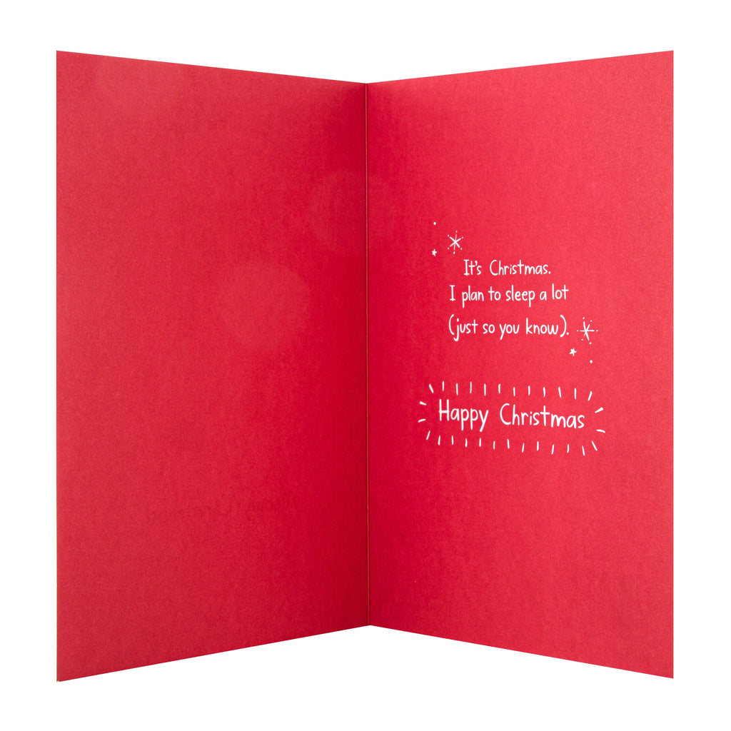 Charity Christmas Card from the Cat - Cute Photograph Design with Red Foil