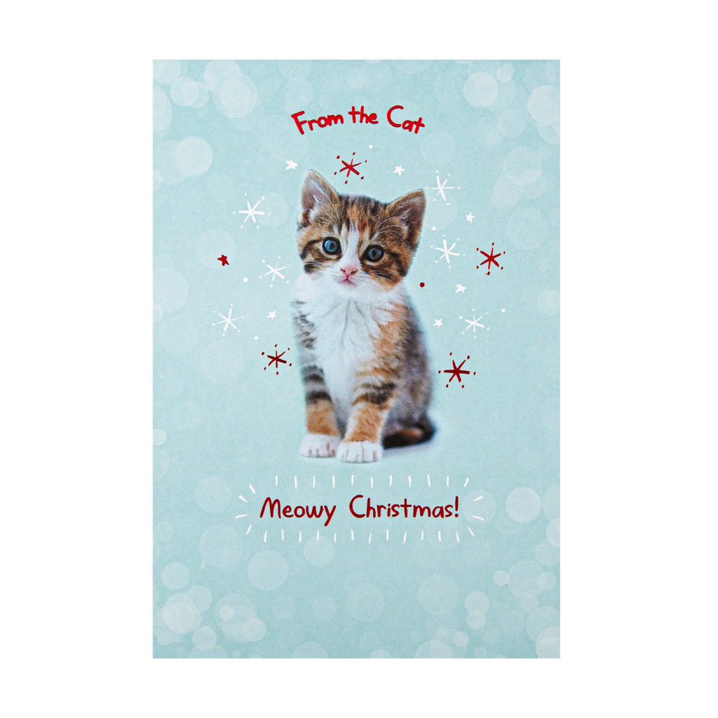 Charity Christmas Card from the Cat - Cute Photograph Design with Red Foil