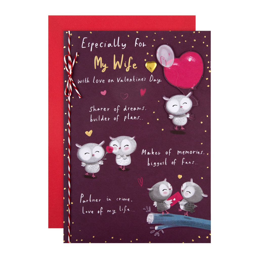 Valentine's Day Card for Wife - Cute Cartoon Owls Design with Gold Foil and 3D Add On