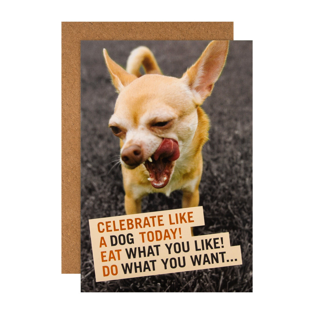 Funny Birthday Card - Dog Shoebox Collection Design with Copper Foil