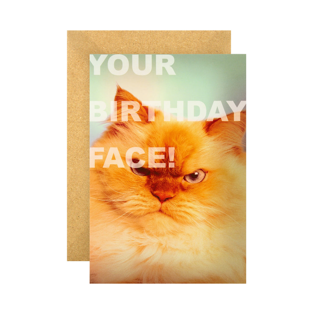 Funny Birthday Card - Grumpy Cat Face Shoebox Collection Design