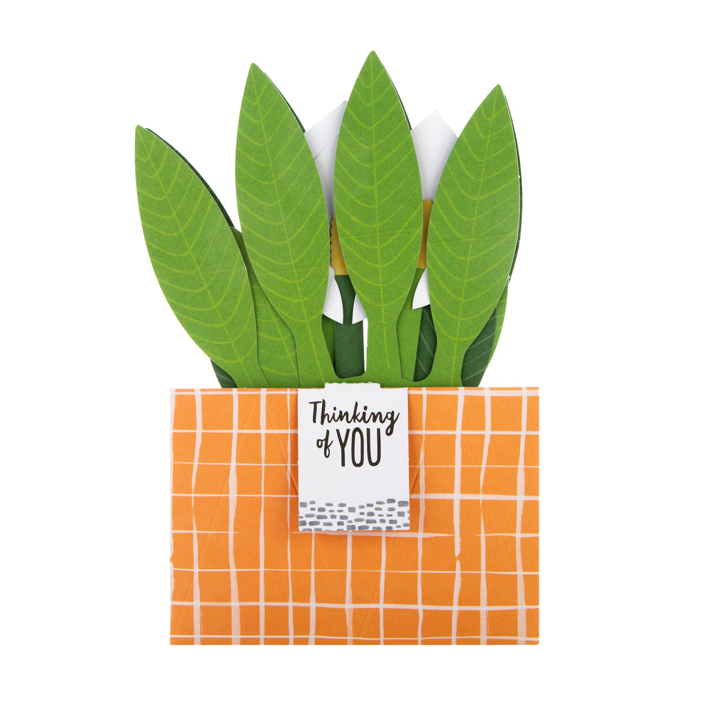 Pop-up Plant Card - Peace Lily Design