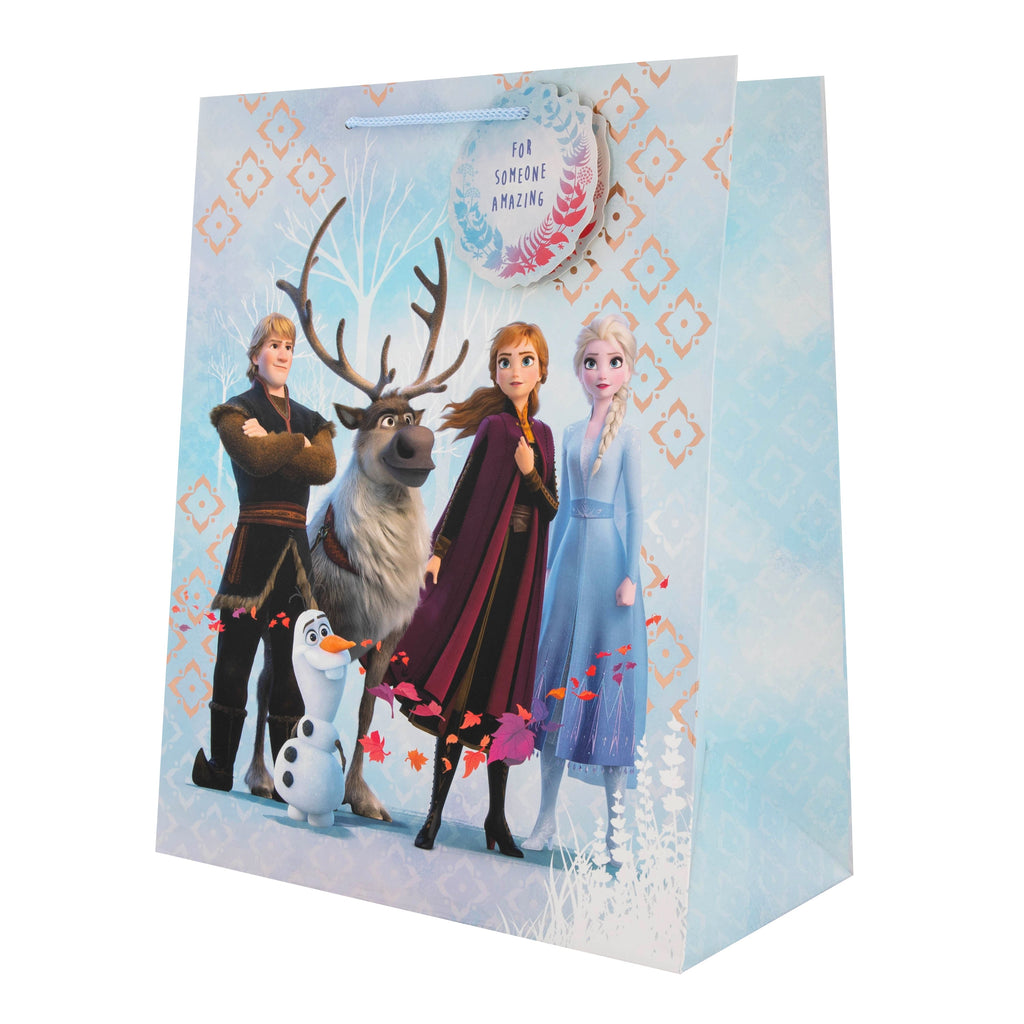 Kids Large Gift Bag - Frozen 2 Characters Design