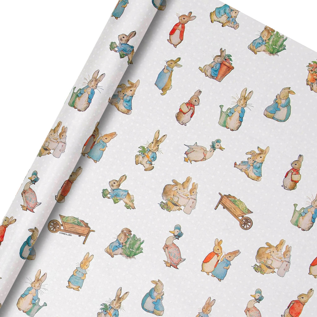 6M Any Occasion Wrapping Paper - Pack of 3 x 2M Rolls in 1 Cute Peter Rabbit™️ Design