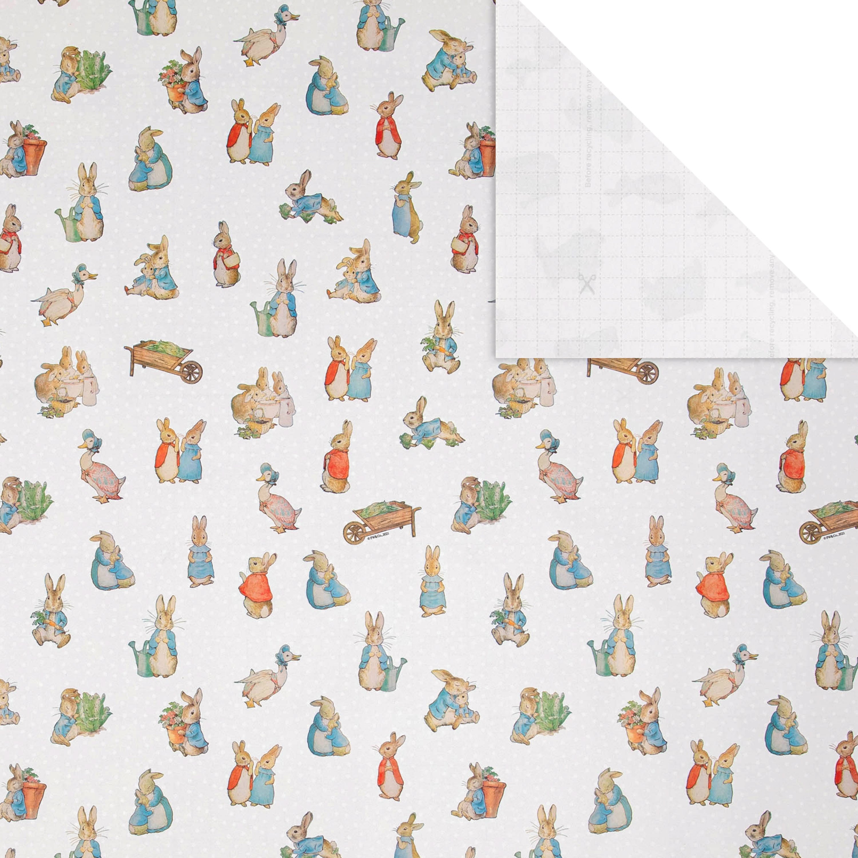 6M Peter Rabbit™ Wrapping Paper| Hallmark UK