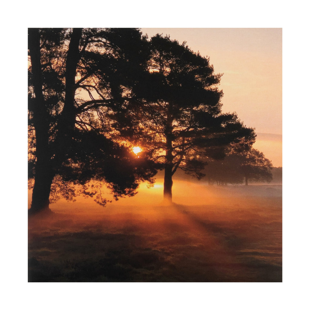 Any Occasion Woodland Trust Card - Serene Misty Sunrise Design