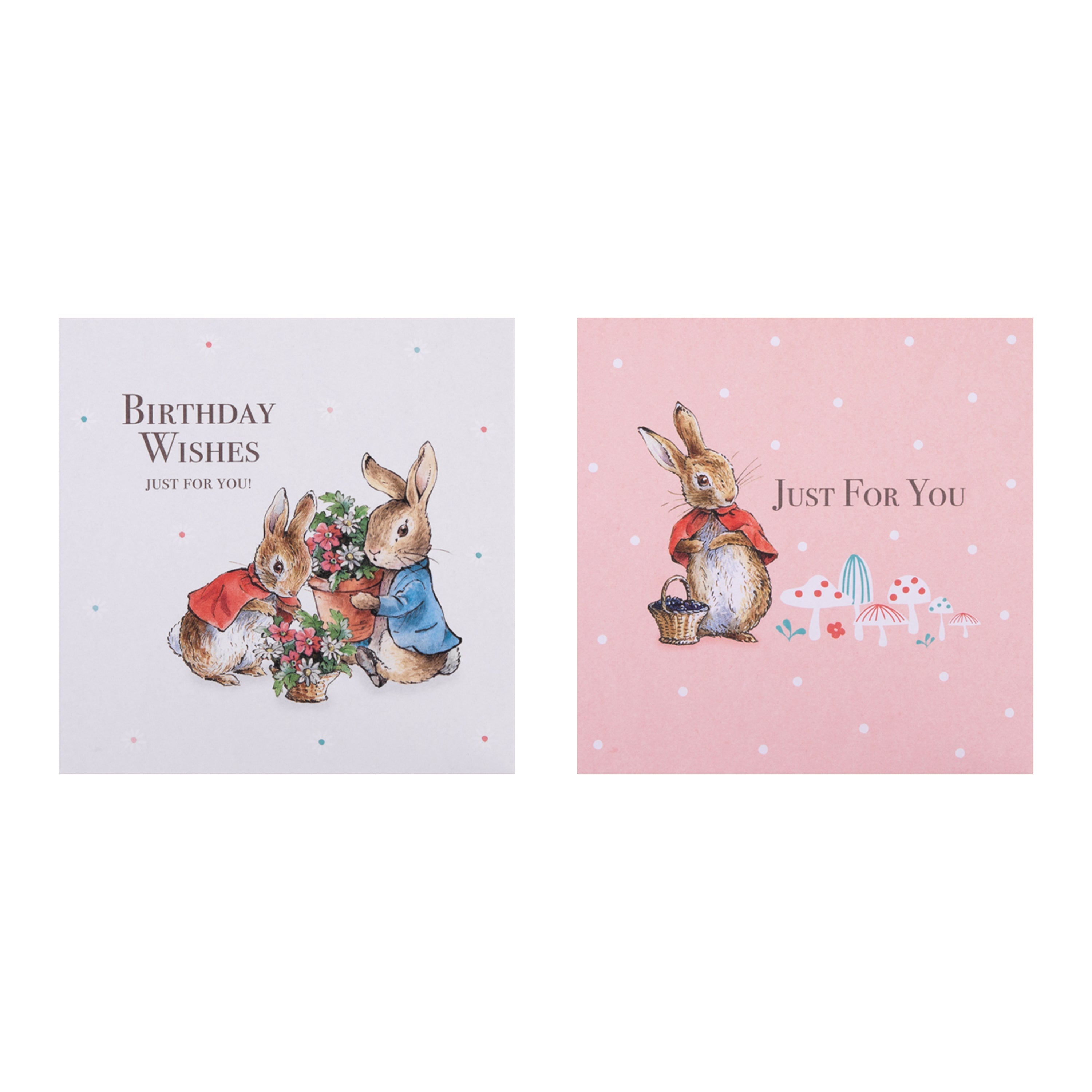 Peter Rabbit Amex Card Peter Rabbit™️ Birthday Cards Multipack | Hallmark UK