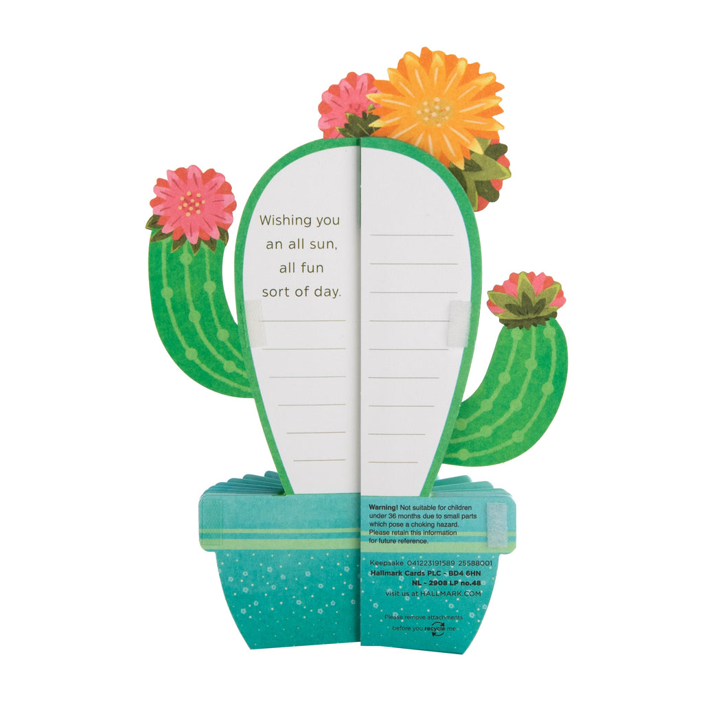 Any Occasion Card - 3D & Pop-Up Honeycomb Cactus Design