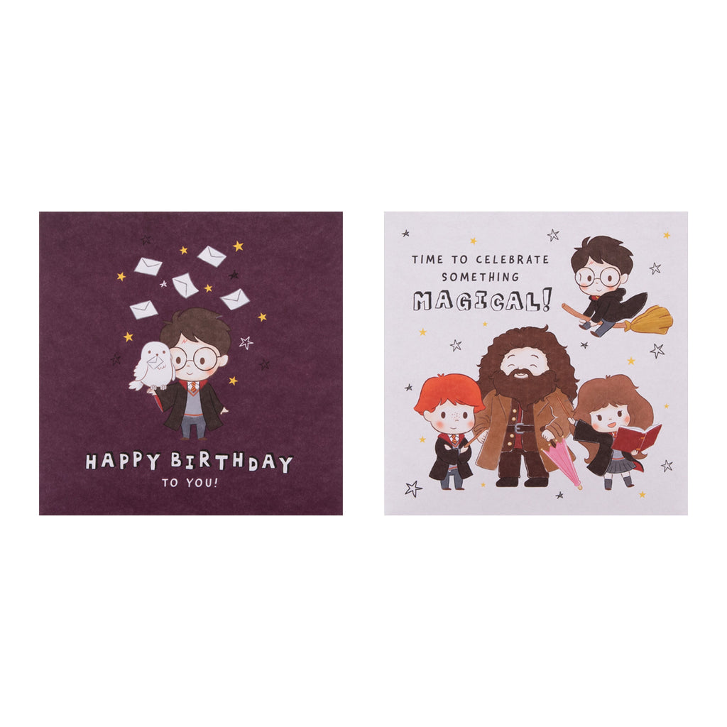 Multipack Birthday Cards - Pack of 10 in 5 Harry Potter™ Designs