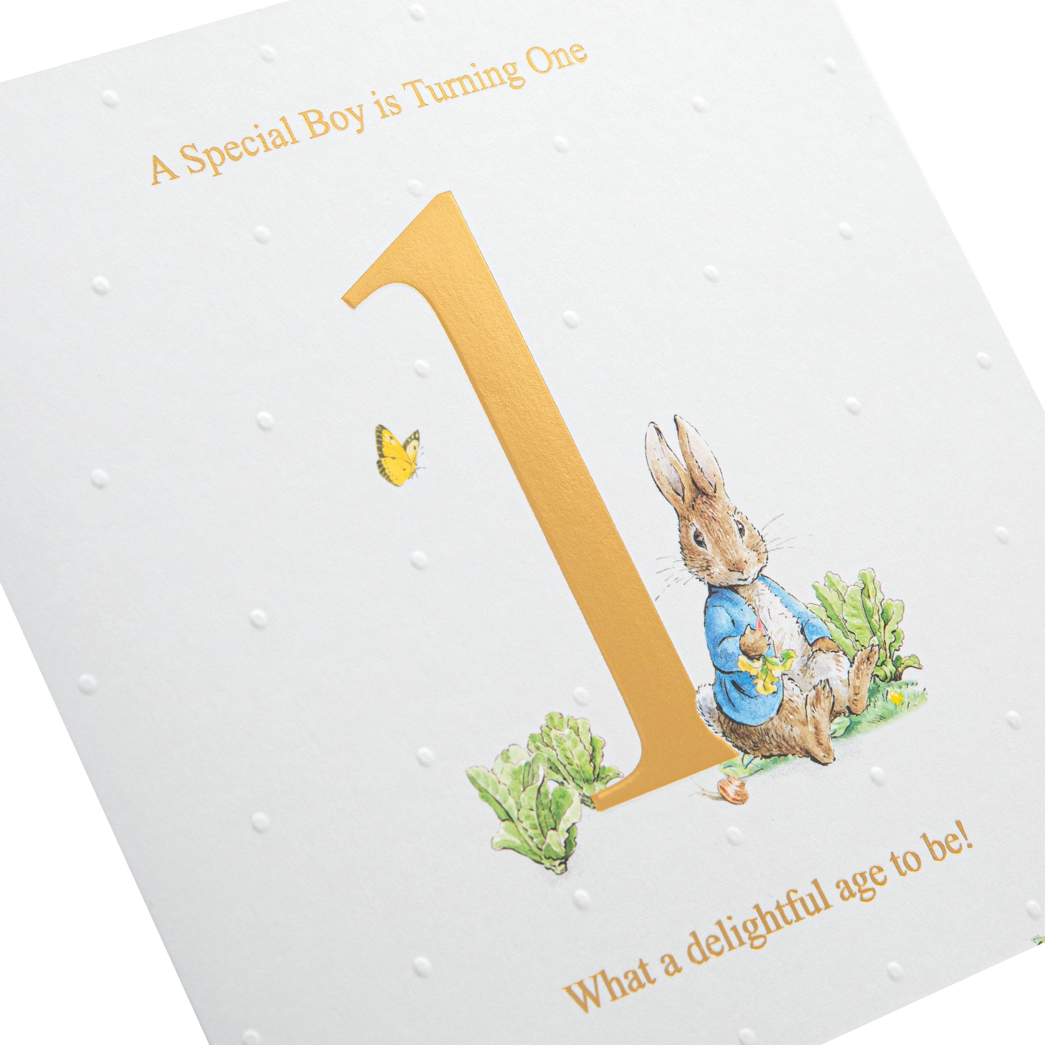 Danilo Promotions Ltd Peter Rabbit Carte D'anniversaire