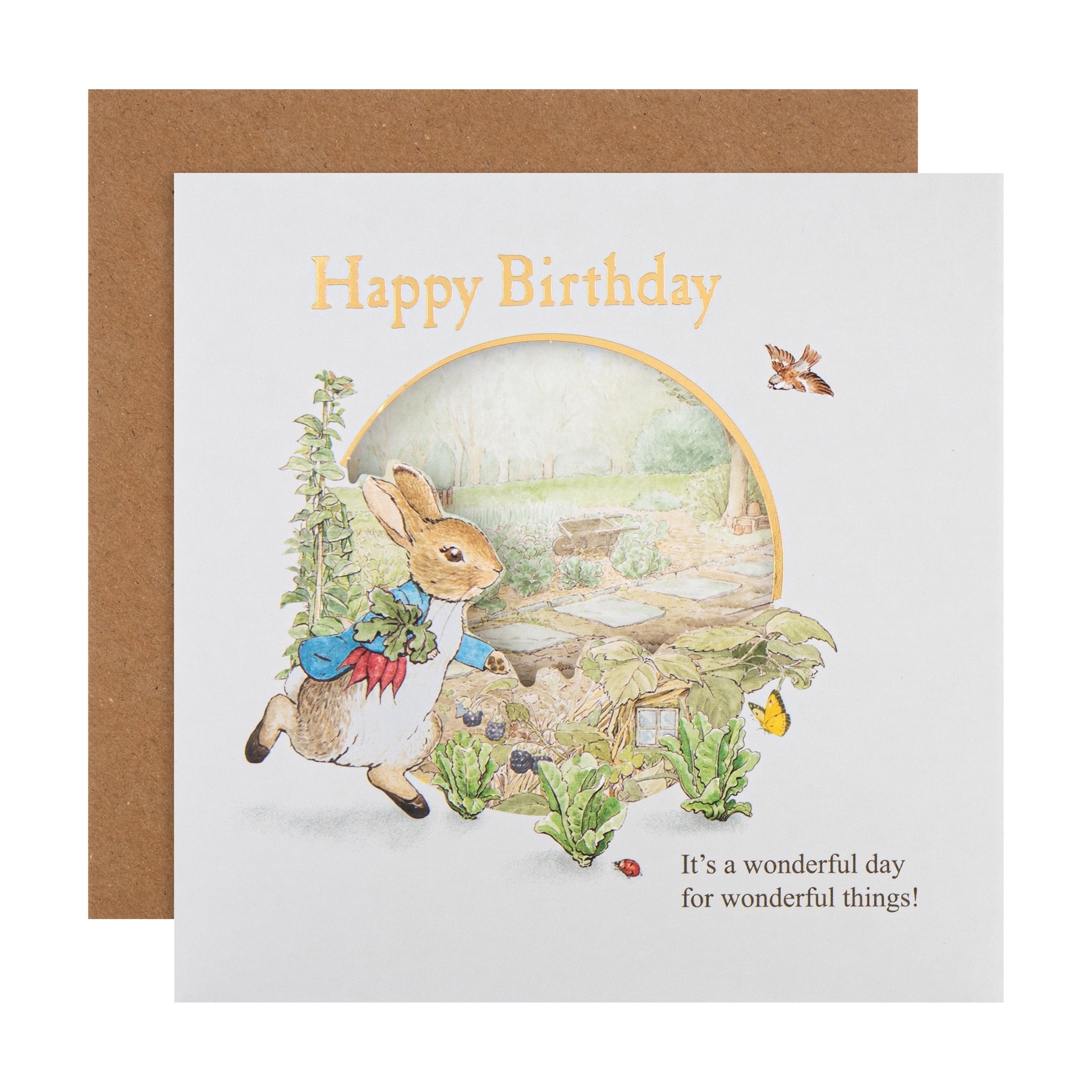 Beatrix Potter Peter Rabbit Happy Birthday Card | Hallmark UK