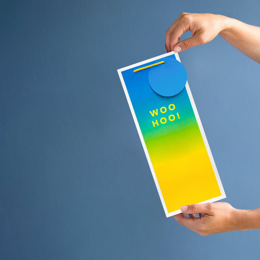 Any Occasion Bottle Bags - 3 Pack in 1 Vibrant Design 