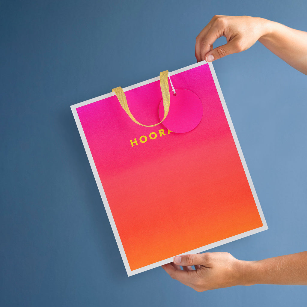 Any Occasion Gift Bags - 3 Pack in 3 Sizes and 3 Vibrant Designs