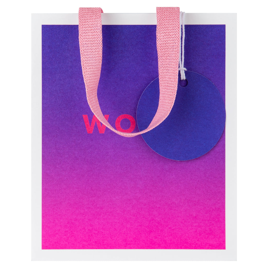 Any Occasion Gift Bags - 3 Pack in 3 Sizes and 3 Vibrant Designs