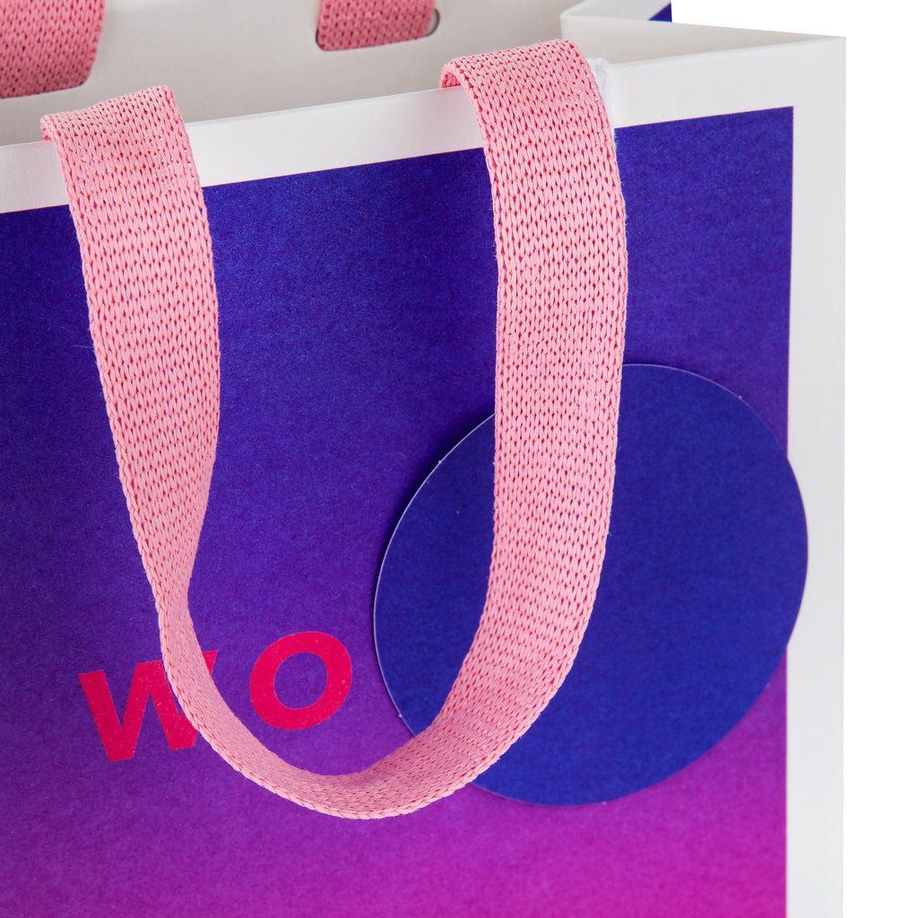 Any Occasion Gift Bags - 3 Pack in 3 Sizes and 3 Vibrant Designs