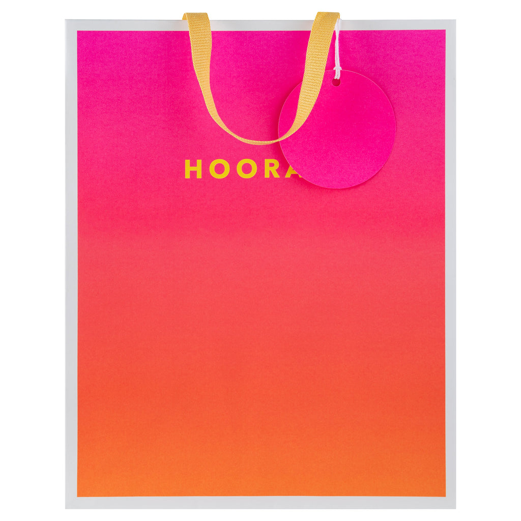 Any Occasion Gift Bags - 3 Pack in 3 Sizes and 3 Vibrant Designs