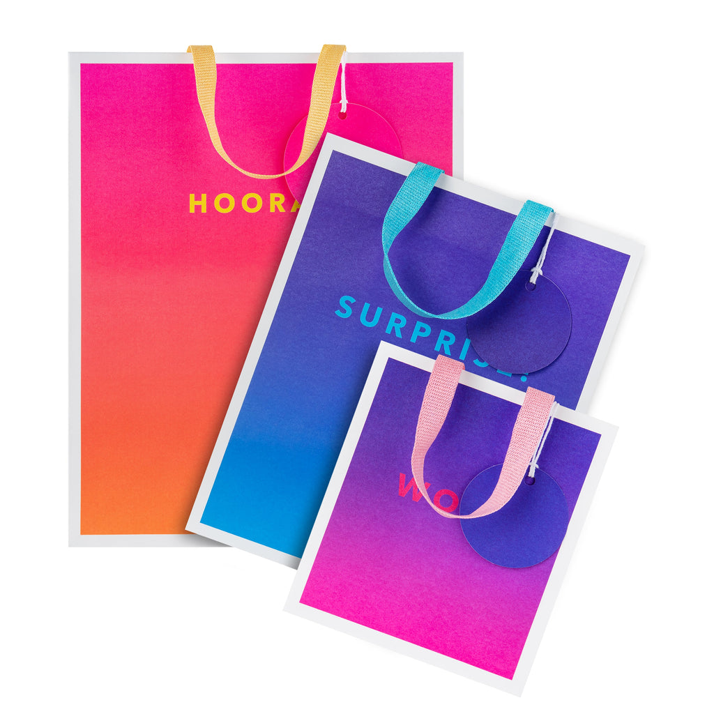 Any Occasion Gift Bags - 3 Pack in 3 Sizes and 3 Vibrant Designs