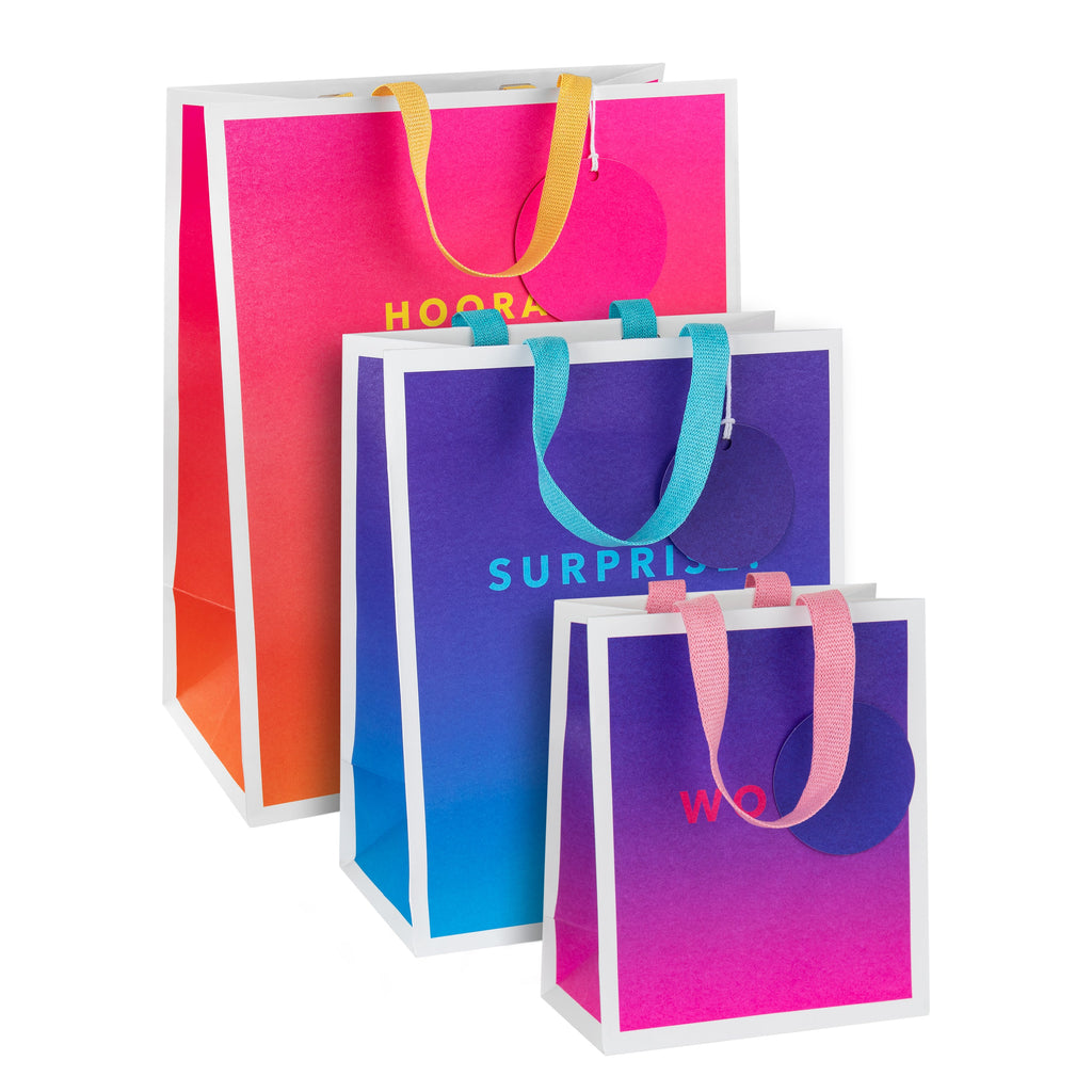 Any Occasion Gift Bags - 3 Pack in 3 Sizes and 3 Vibrant Designs