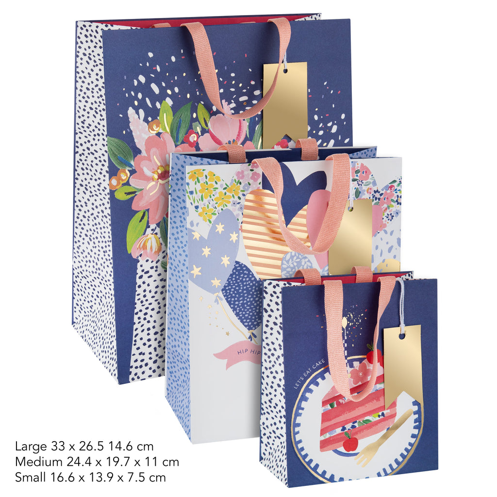 Multi Occasion Gift Bags - 3 Pack in 3 Sizes and 3 Celebratory Designs 