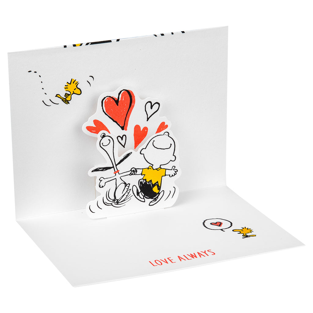 PEANUTS™ SNOOPY Cards | Hallmark