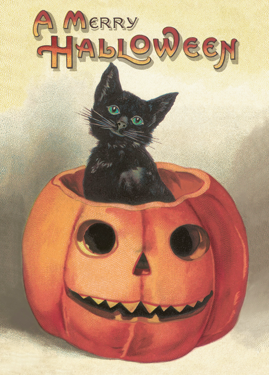 Pumpkin Black Cat Halloween Card 145 X 145mm - View #7