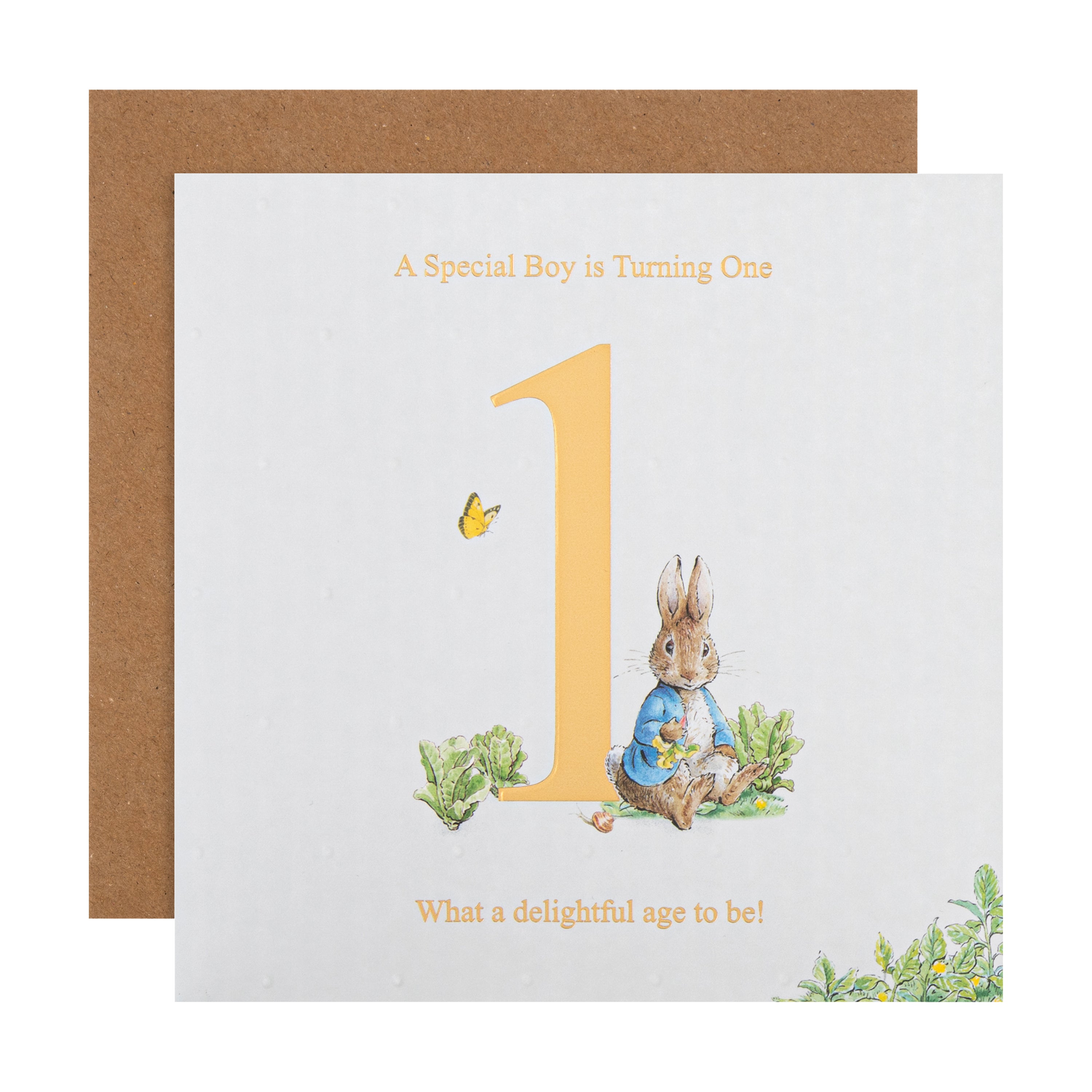 Peter Rabbit 1st Birthday Card Little Boy | Hallmark UK