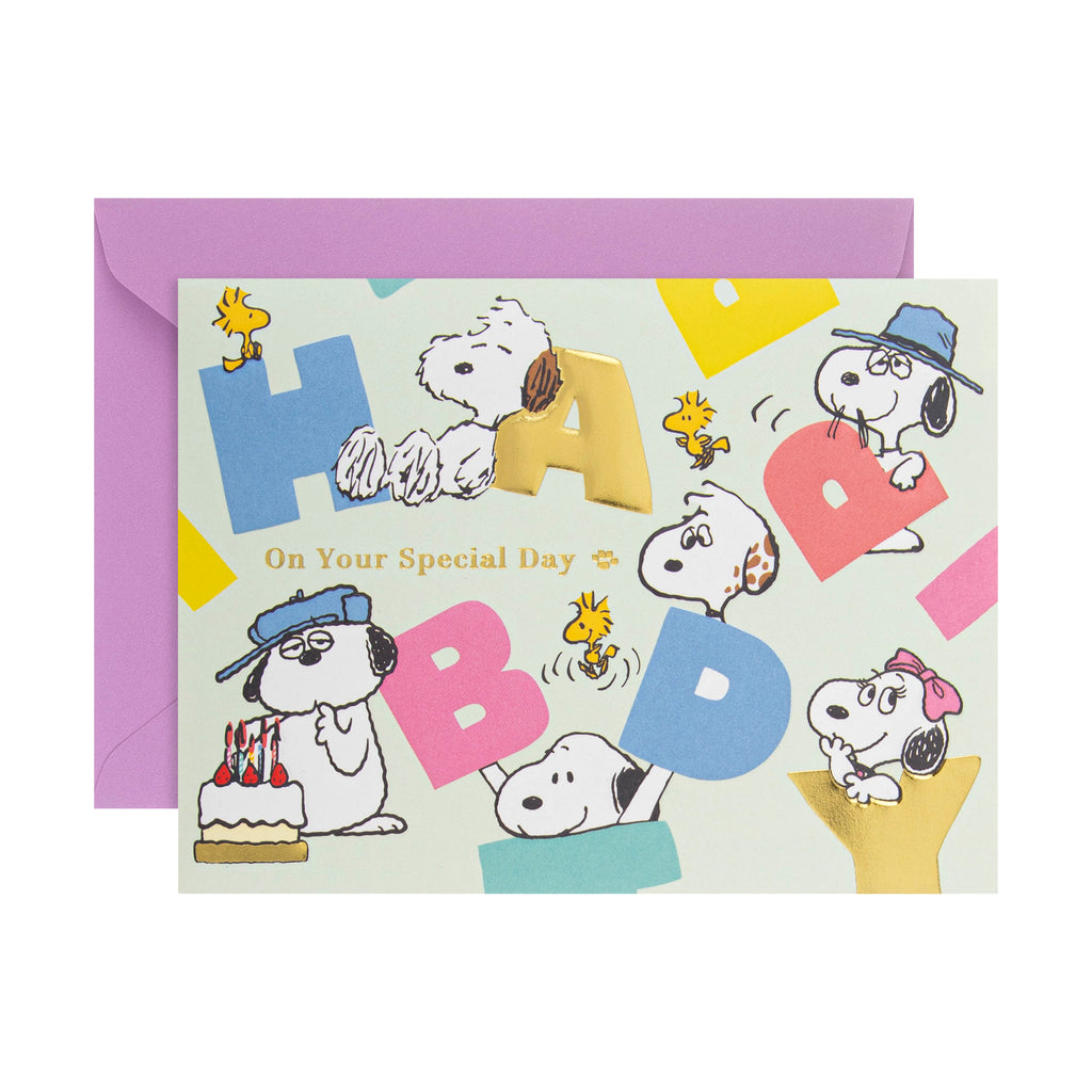 PEANUTS™ SNOOPY Cards | Hallmark