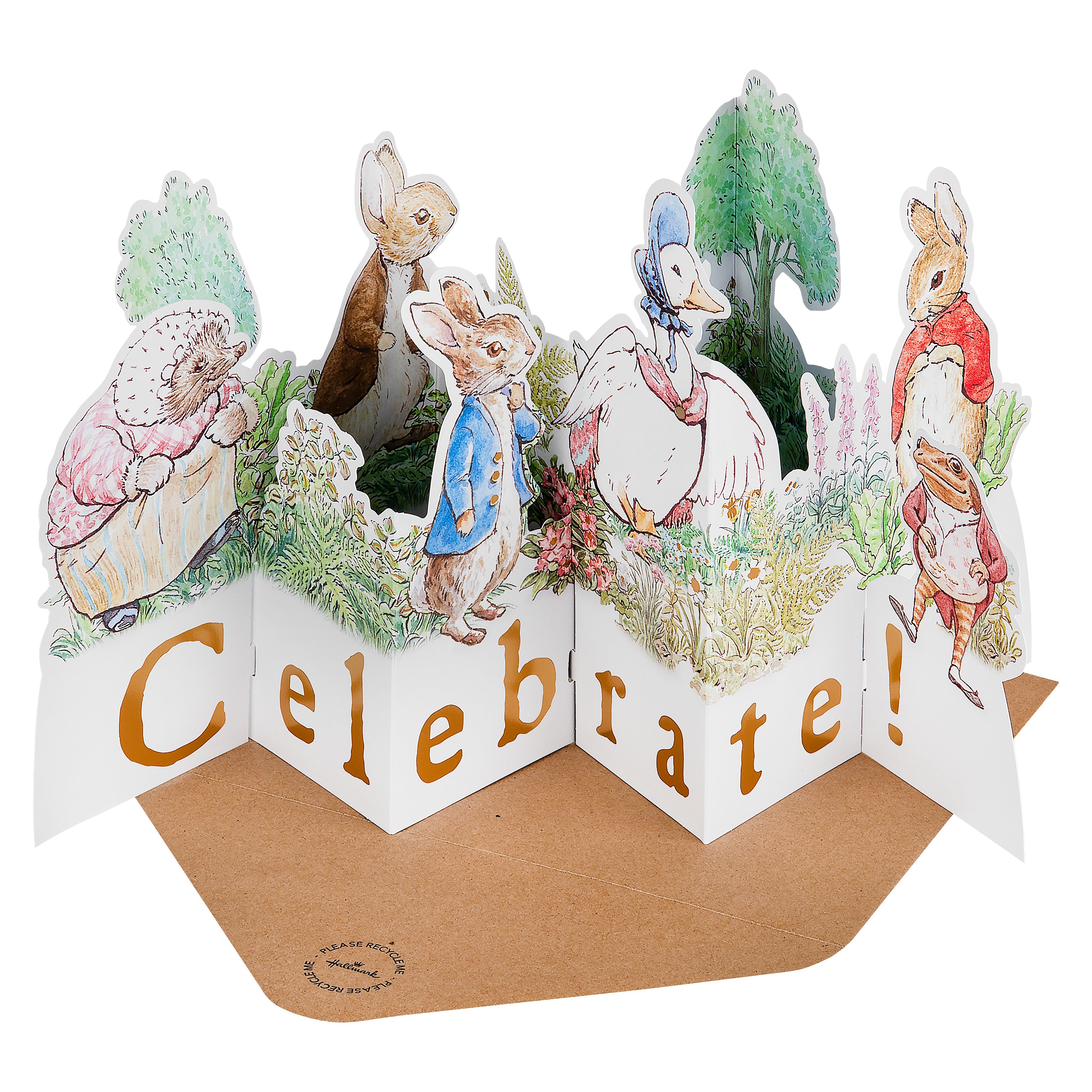 3D & Pop Up Beatrix Potter Peter Rabbit Card | Hallmark