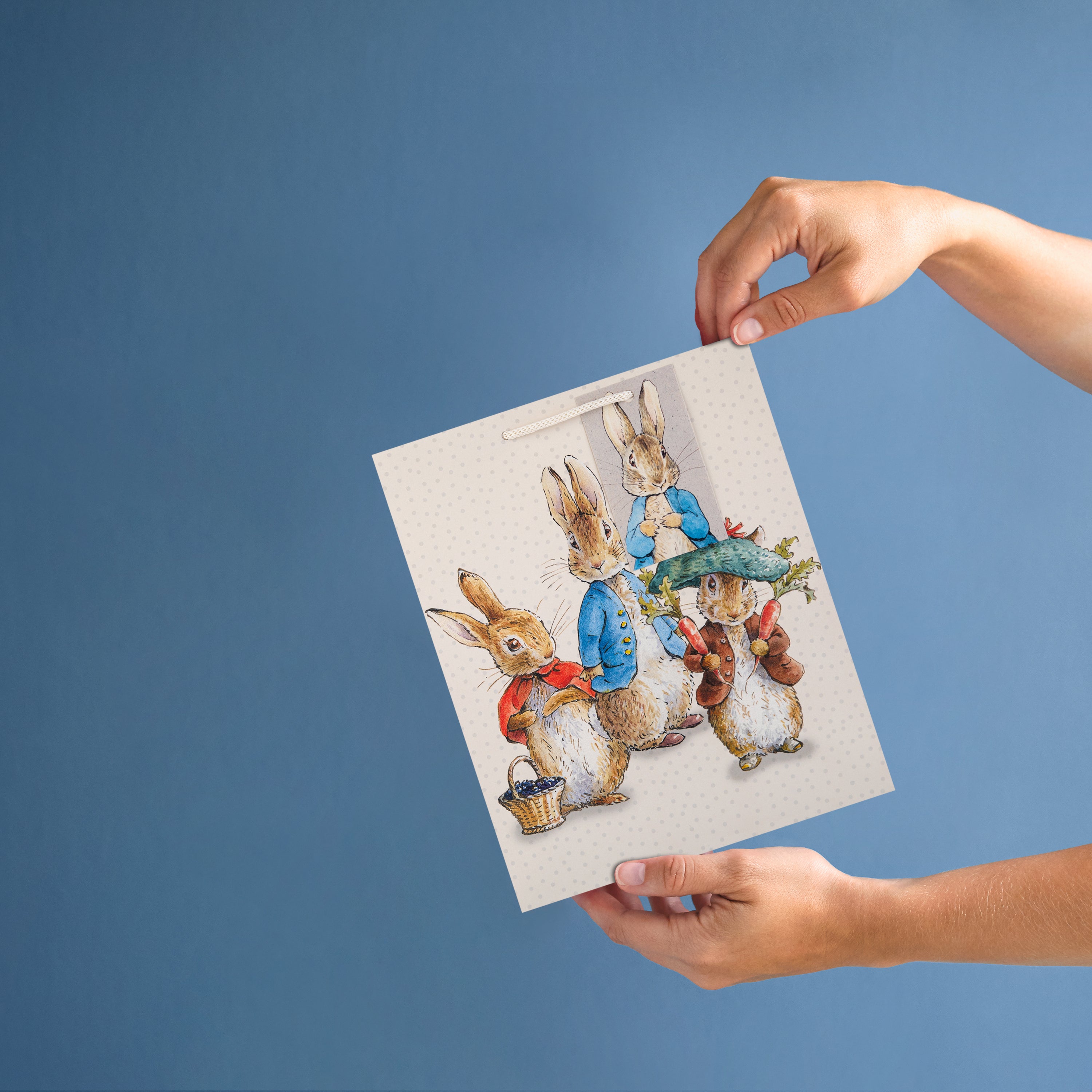 3 Pack Peter Rabbit Medium Gift Bags | Hallmark