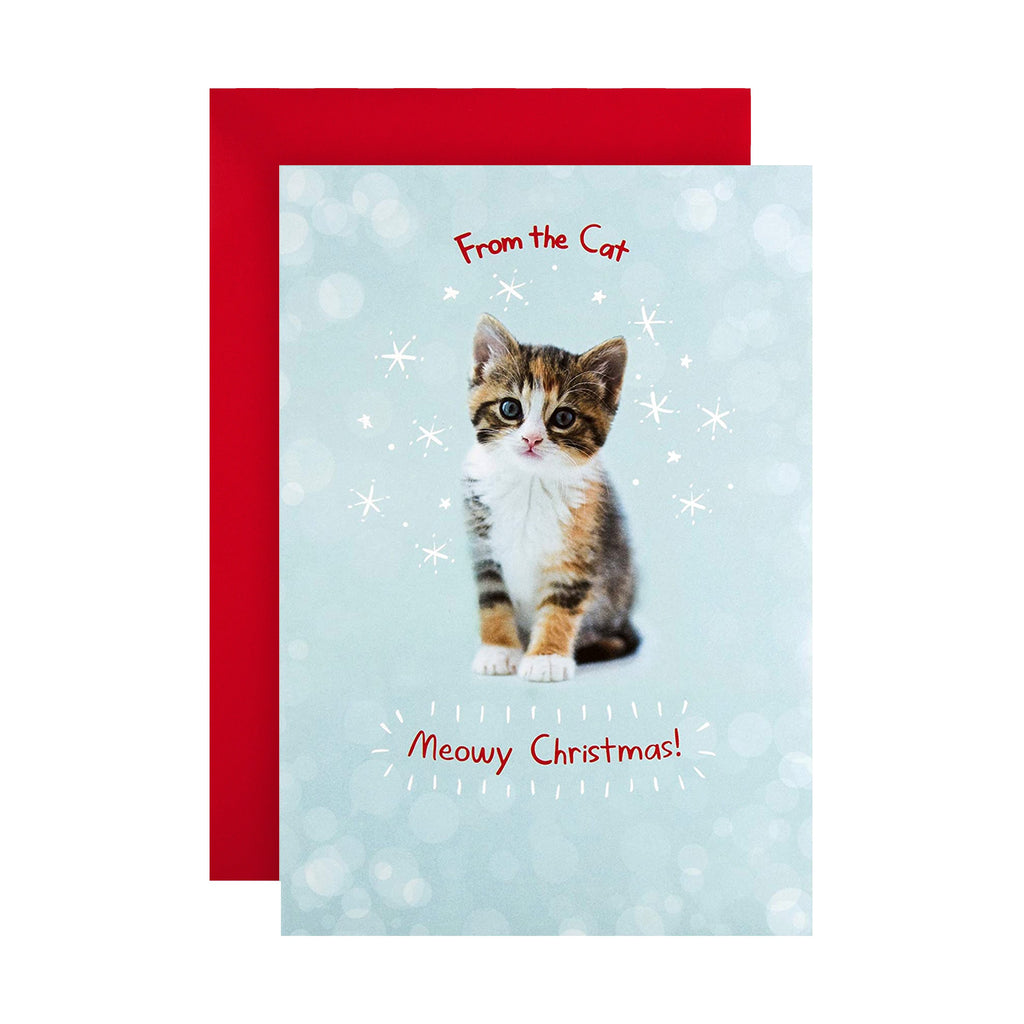 RSPCA Christmas Card from the Cat - Cute Photographic Design