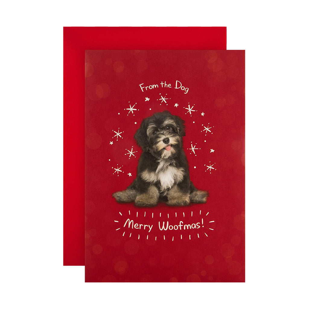 RSPCA Christmas Card from the Dog - Cute Photographic Design
