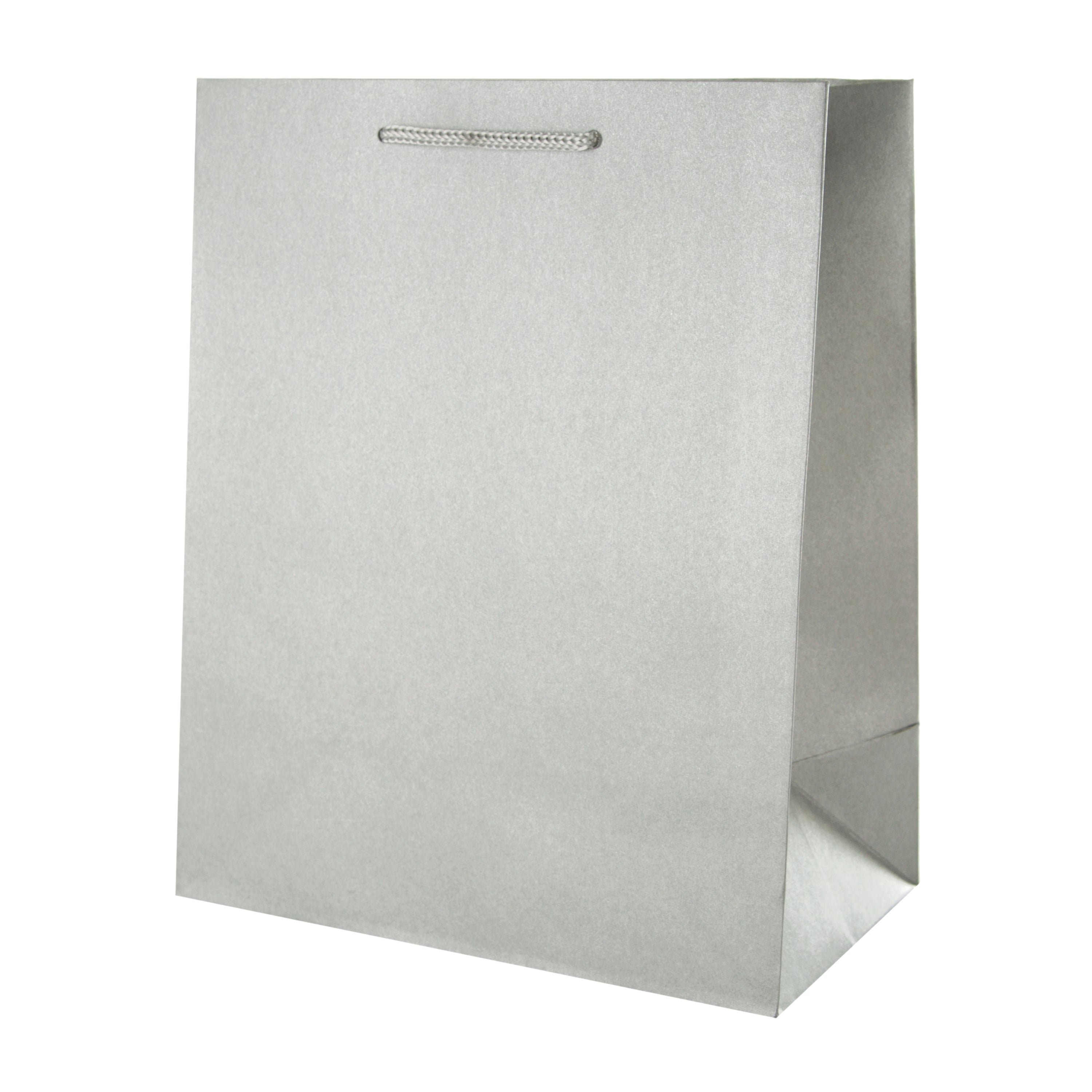 Medium Multi Occasion Gift Bag