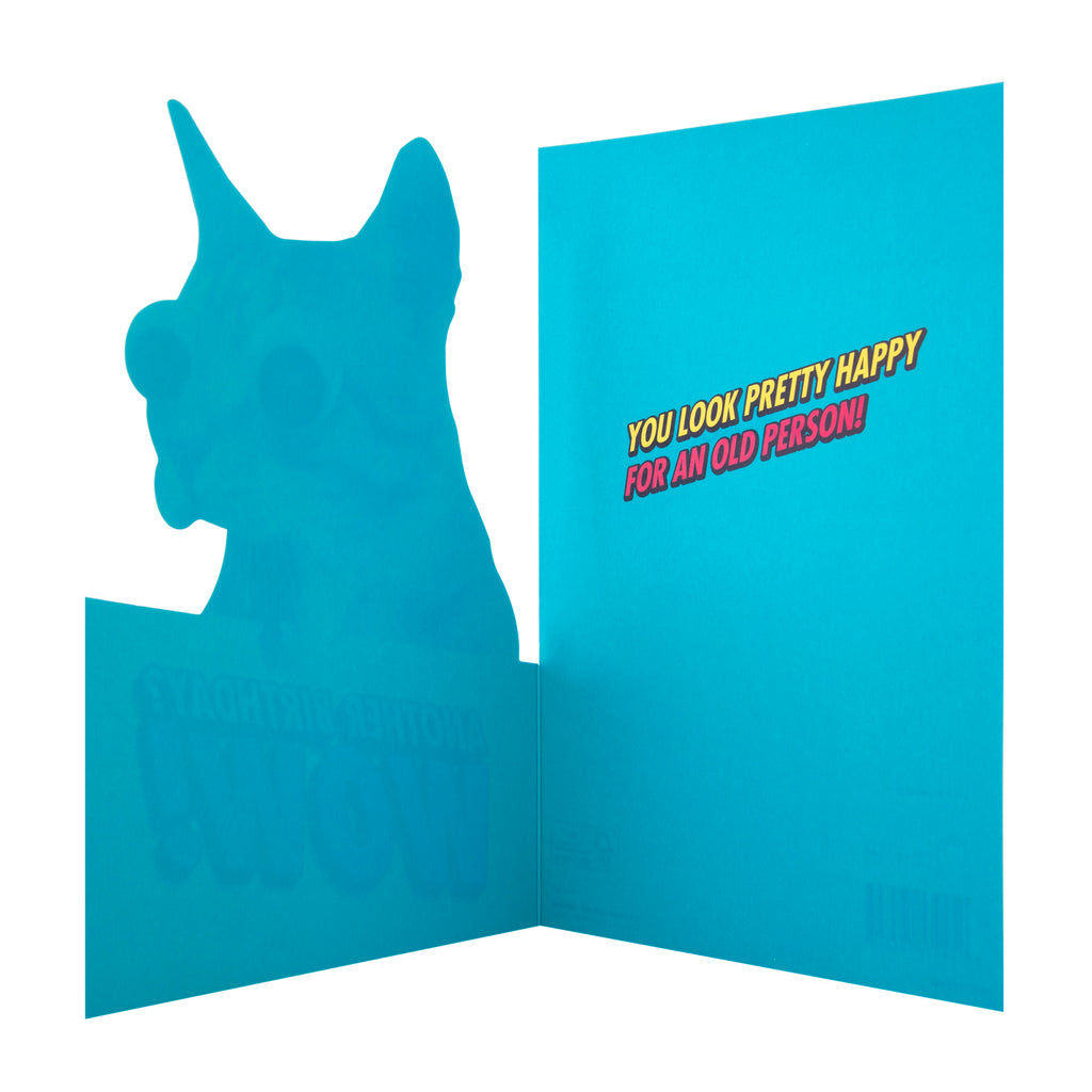 General Birthday Card - Die-cut Crazy Cat Design