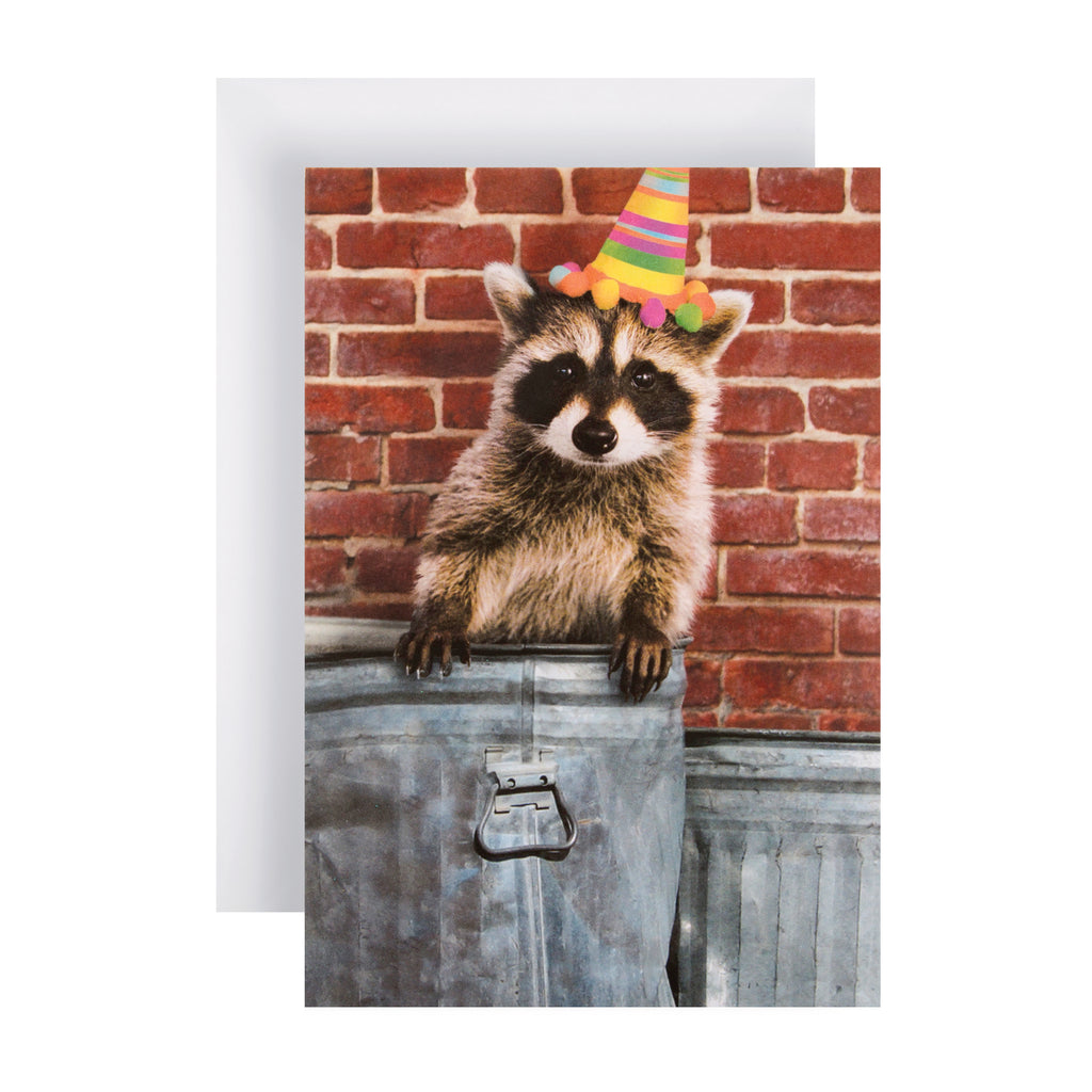 General Birthday Card from The Hallmark Studio - Party Raccoon Design