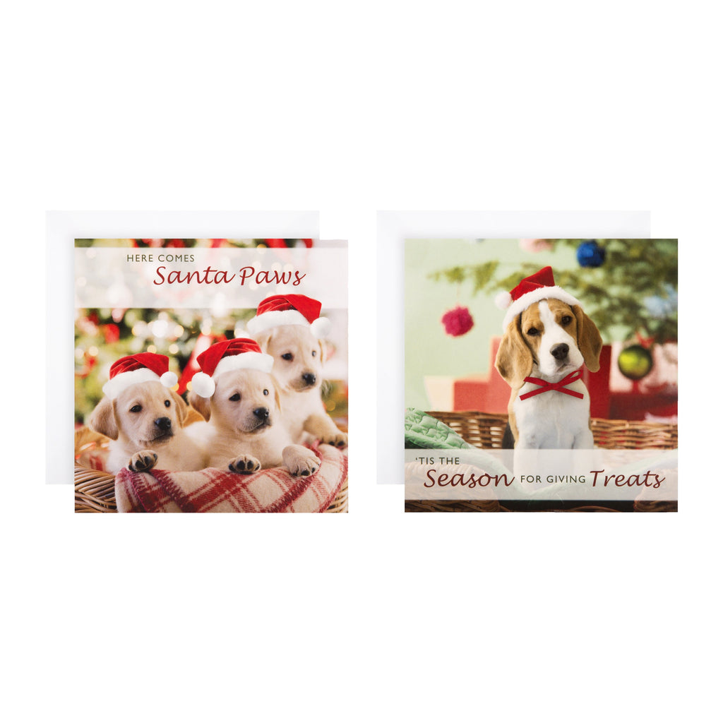 Mini Photographic Charity Christmas Cards - 30 Cards in 2 Designs