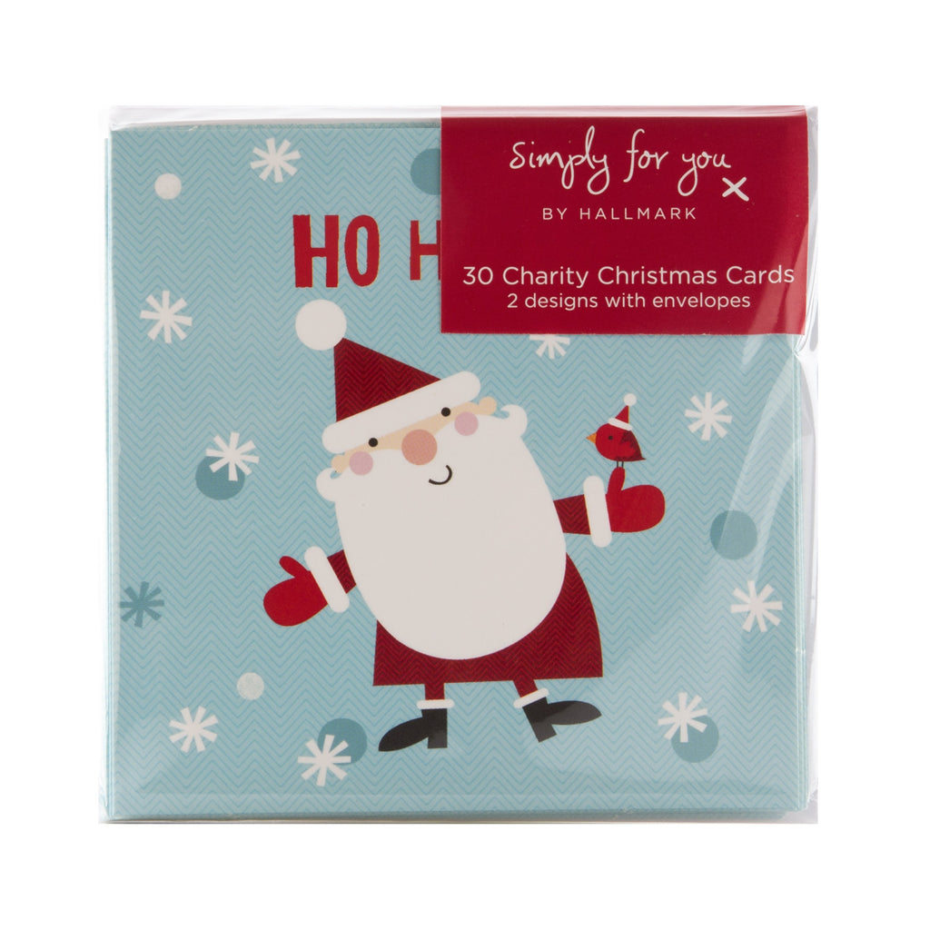 Fun Character Mini Charity Christmas Cards - Pack of 30 in 2 Designs