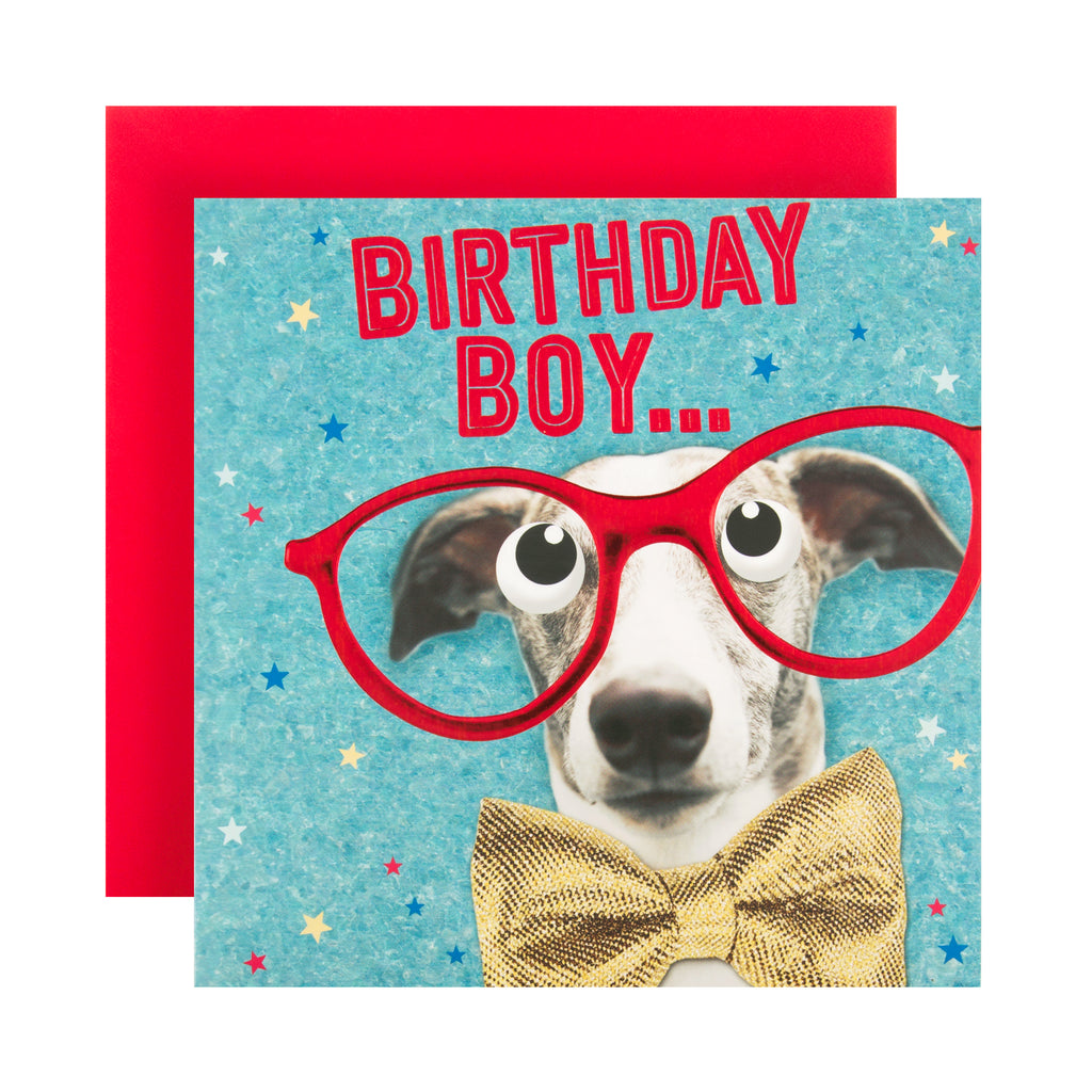 Birthday Boy Card - Funny Photographic Design