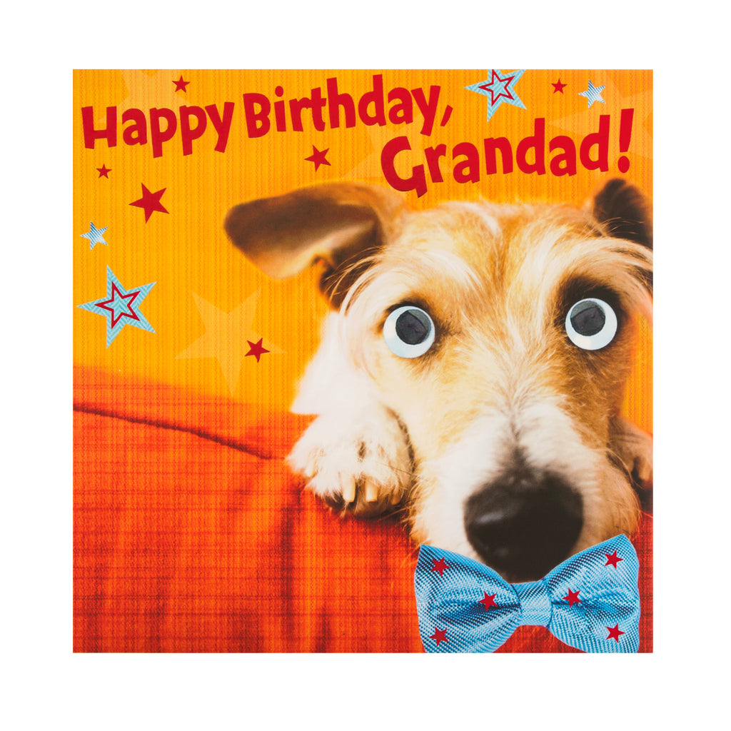 Birthday Card for Grandad - Fun Photographic Dog Design