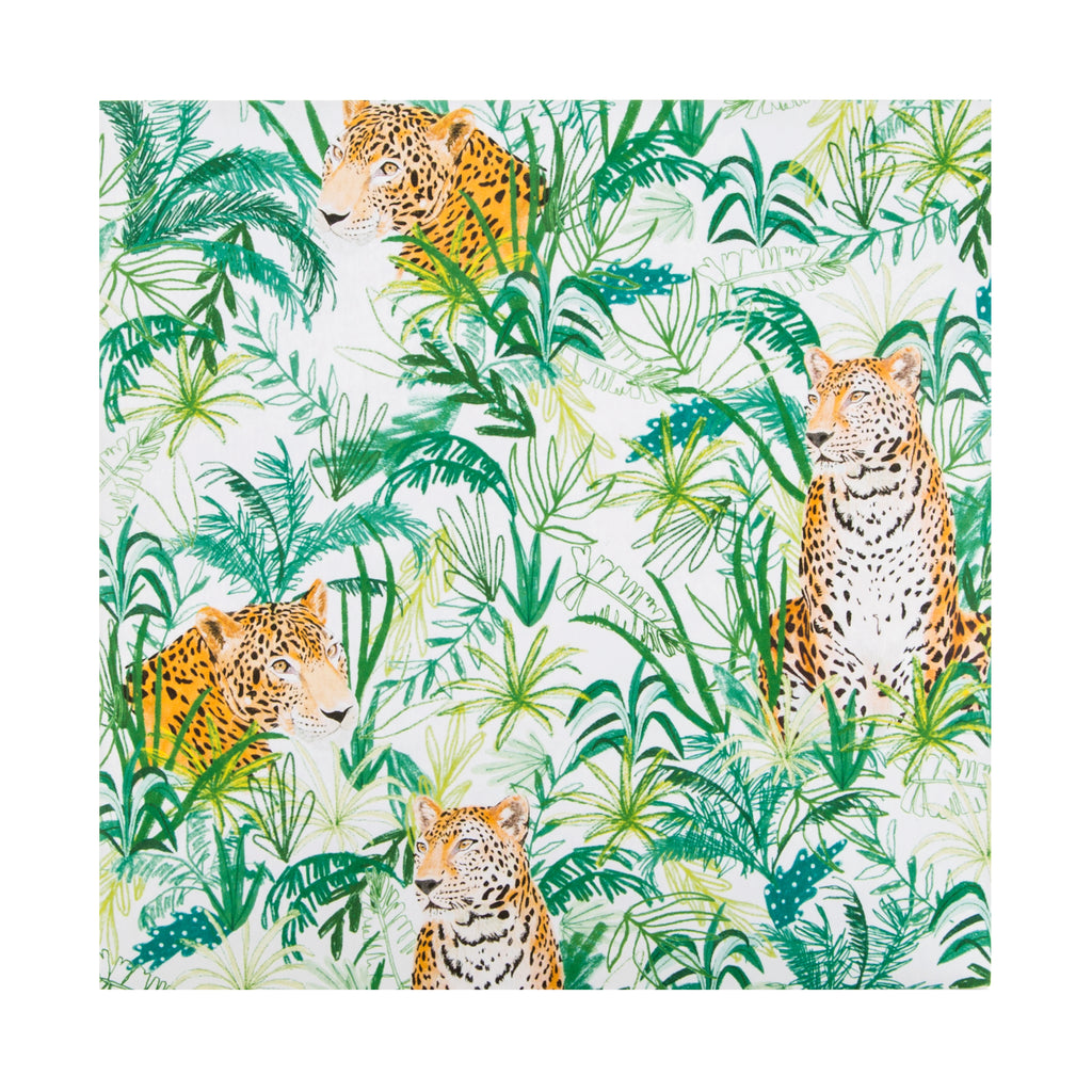 Any Occasion Blank Card - Illustrated Jungle Themed Gallery  Design
