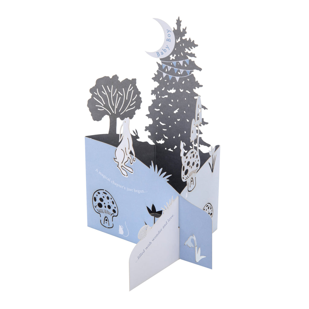 New Baby Boy Card - 3D Blue Nature Scene Design