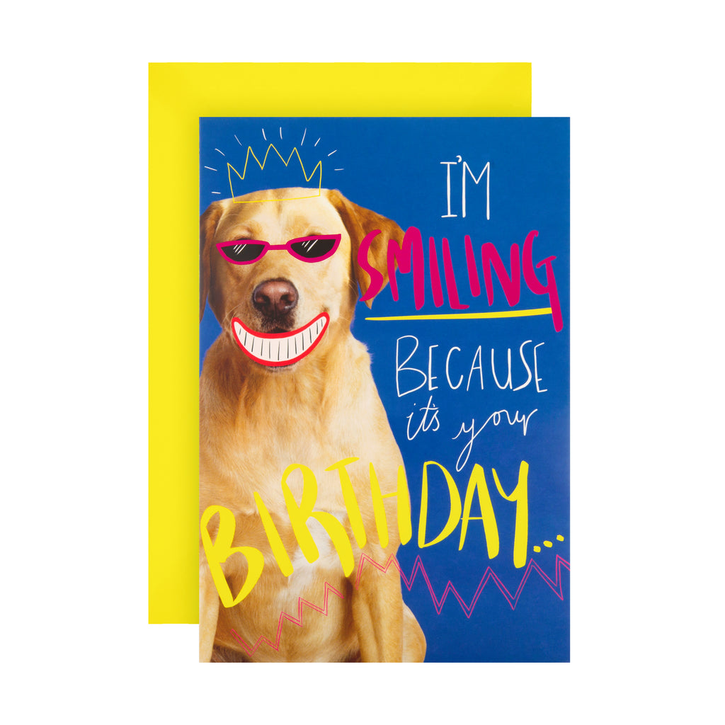 General Birthday Card - Funny Photographic