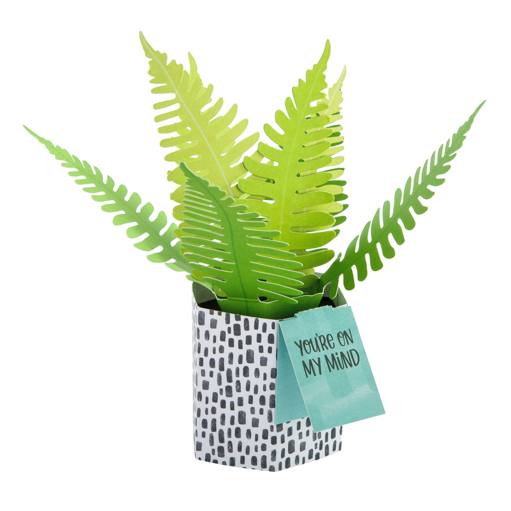Pop-up Plant Card - Fern Design