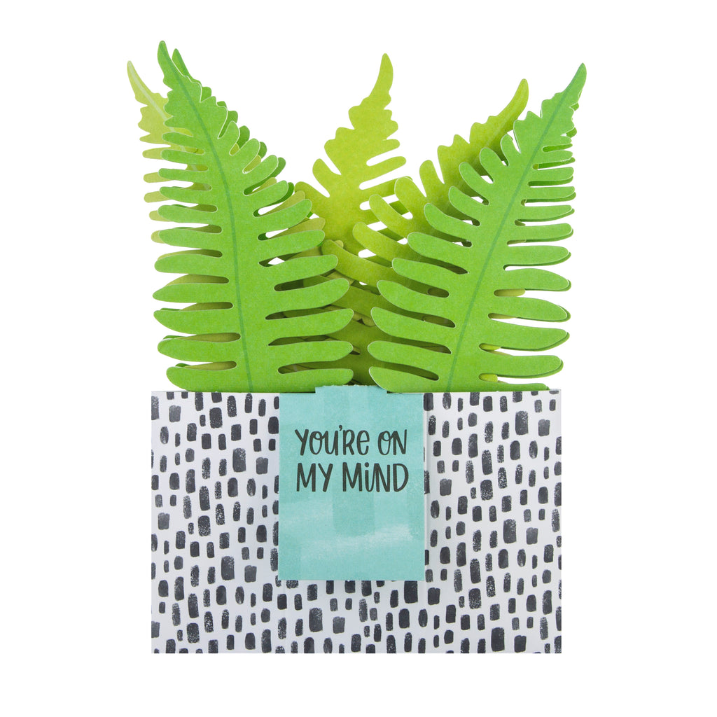 Pop-up Plant Card - Fern Design