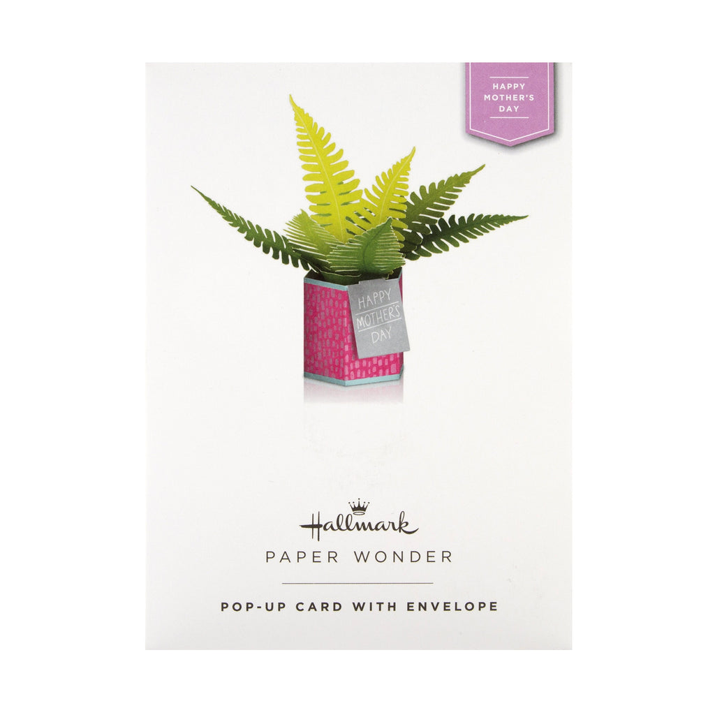 Recyclable Mother's Day Card - Pop-up Plant Design